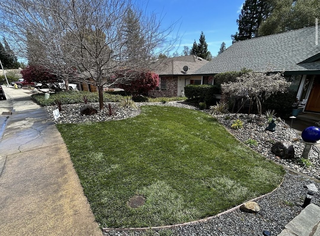 Barriga Landscaping project 2