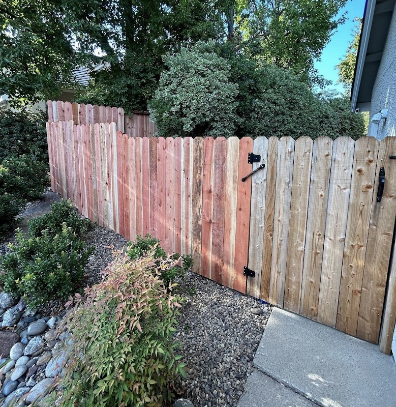 Barriga Landscaping project 4